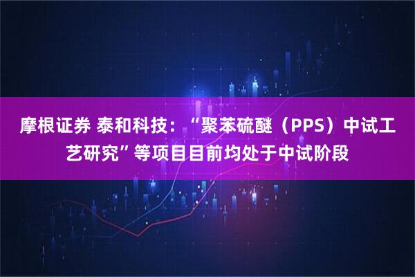 摩根证券 泰和科技：“聚苯硫醚（PPS）中试工艺研究”等项目目前均处于中试阶段