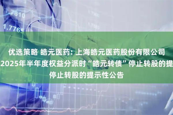 优选策略 皓元医药: 上海皓元医药股份有限公司关于实施2025年半年度权益分派时“皓元转债”停止转股的提示性公告