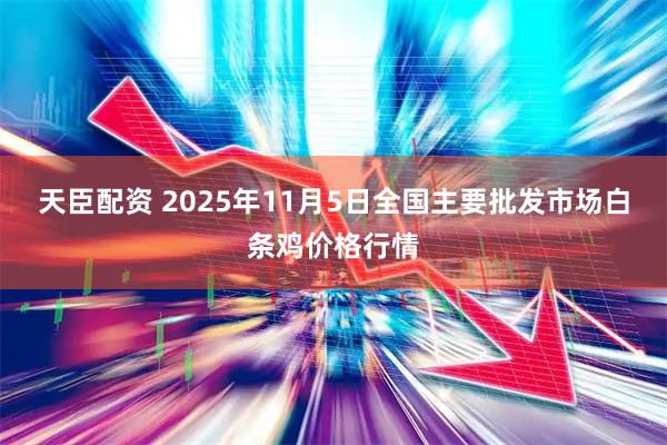 天臣配资 2025年11月5日全国主要批发市场白条鸡价格行情
