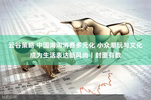 云谷策略 中国海淘消费多元化 小众潮玩与文化成为生活表达新风尚丨封面有数