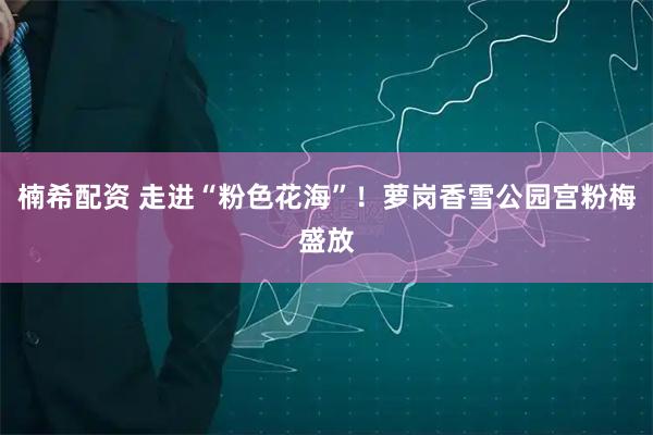 楠希配资 走进“粉色花海”！萝岗香雪公园宫粉梅盛放