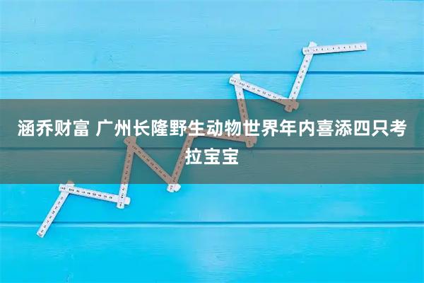 涵乔财富 广州长隆野生动物世界年内喜添四只考拉宝宝