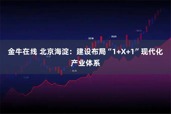金牛在线 北京海淀：建设布局“1+X+1”现代化产业体系