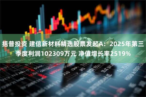 括普投资 建信新材料精选股票发起A：2025年第三季度利润102309万元 净值增长率2519%