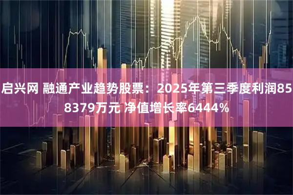 启兴网 融通产业趋势股票：2025年第三季度利润858379万元 净值增长率6444%