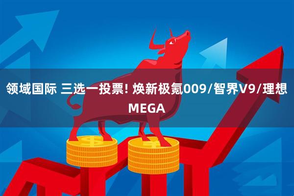 领域国际 三选一投票! 焕新极氪009/智界V9/理想MEGA